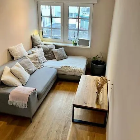 Wunderschoene Stadtwohnung Apartament Würzburg